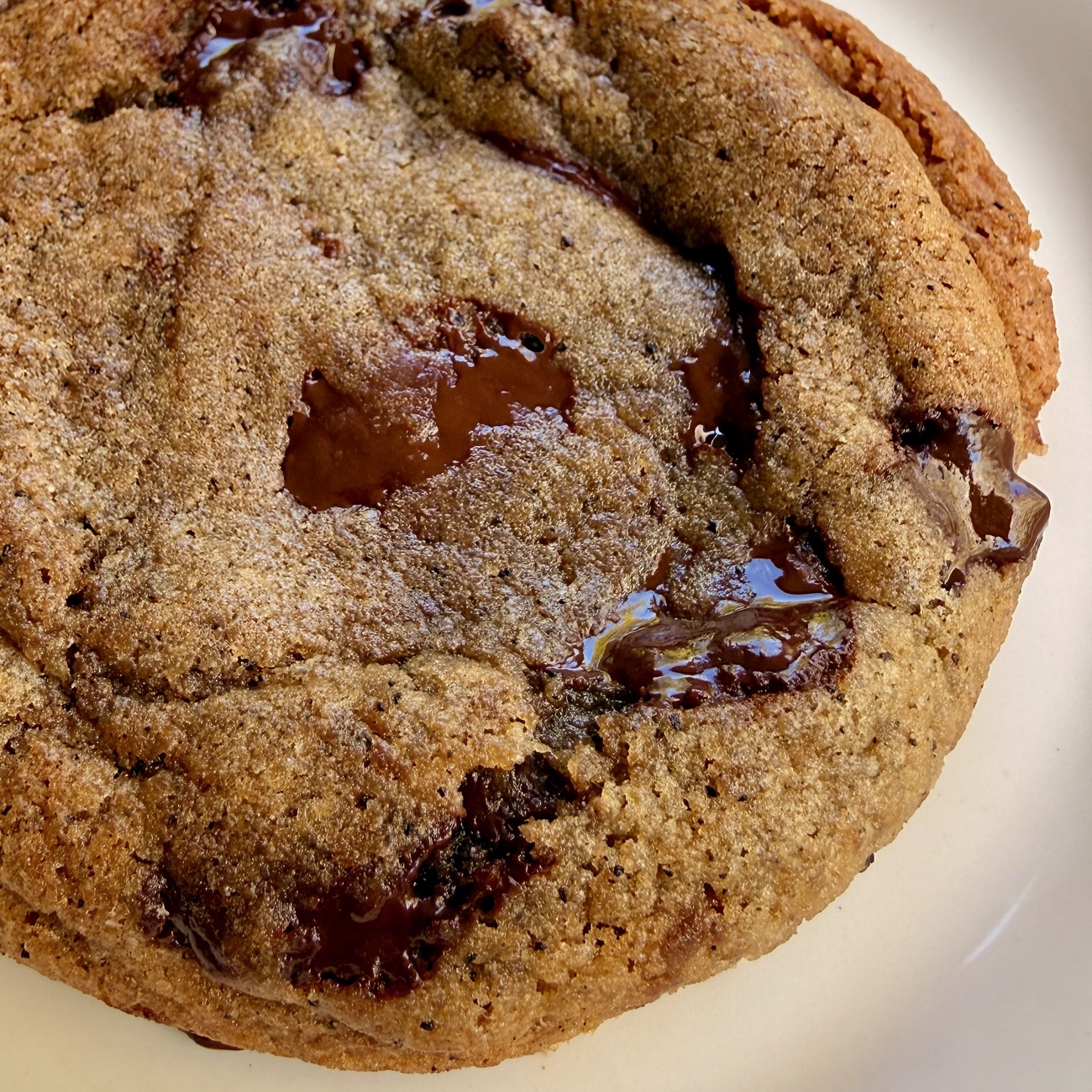 A cookie broken to show melting chocolate
