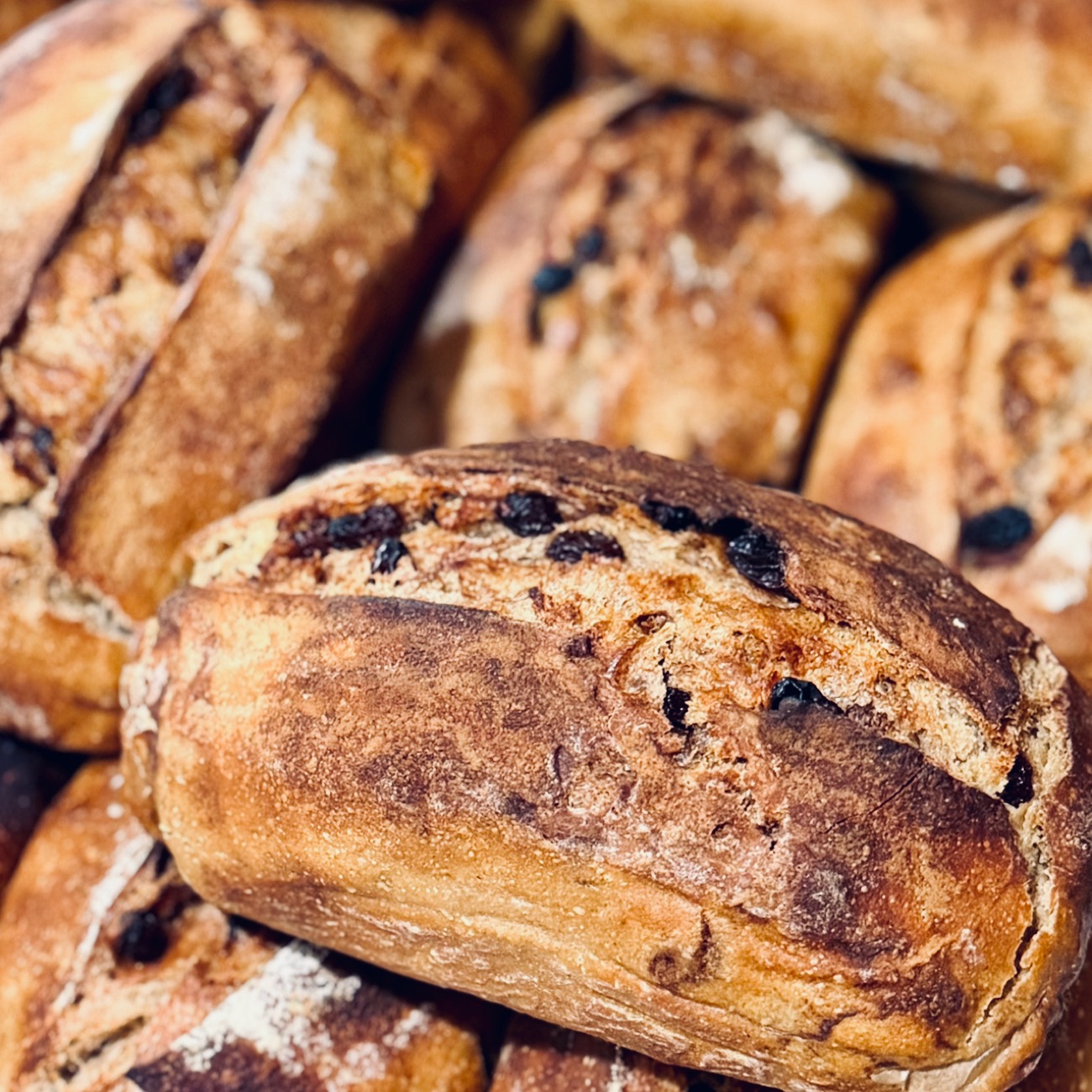 Plump raisins in the crumb