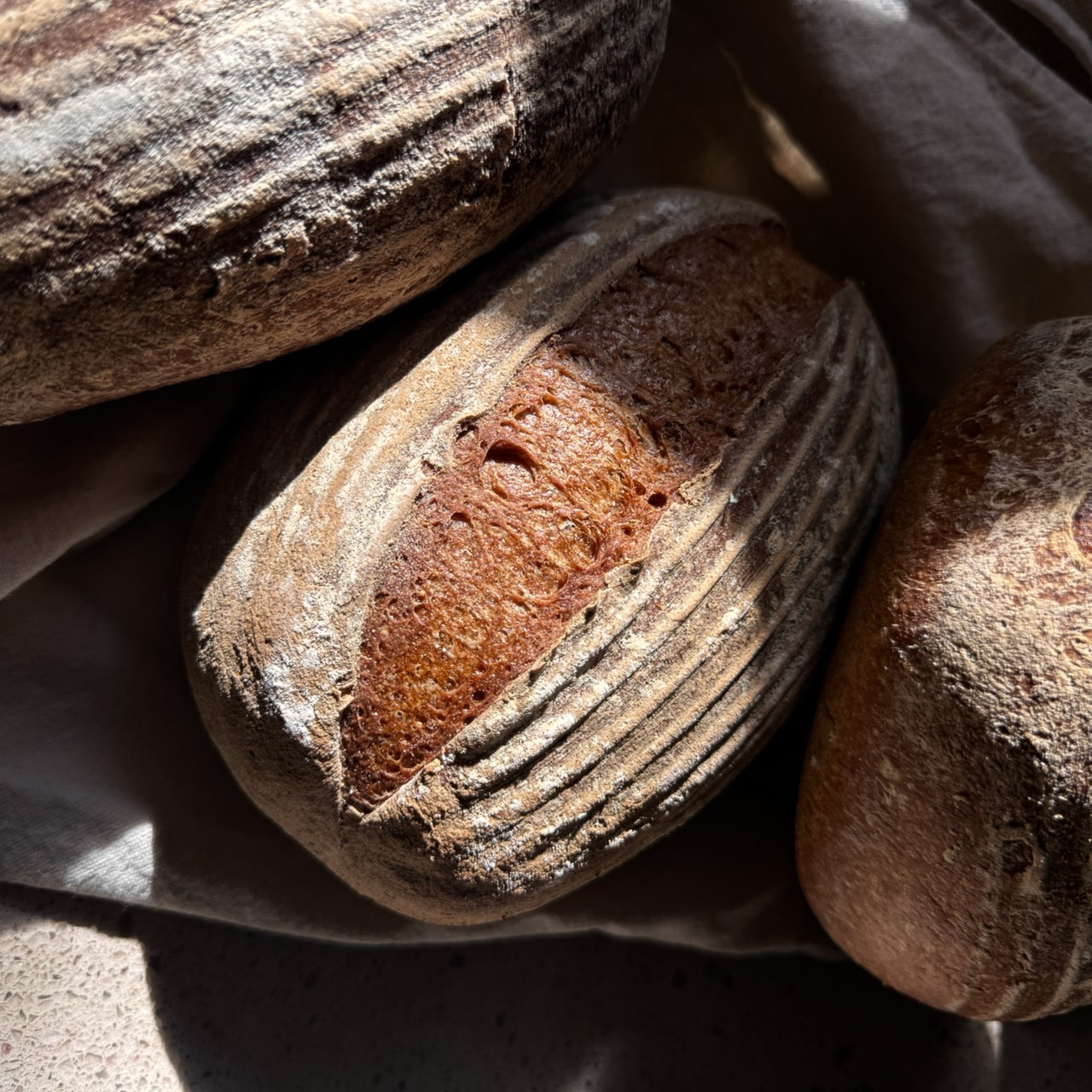 A gluten-free sourdough loaf