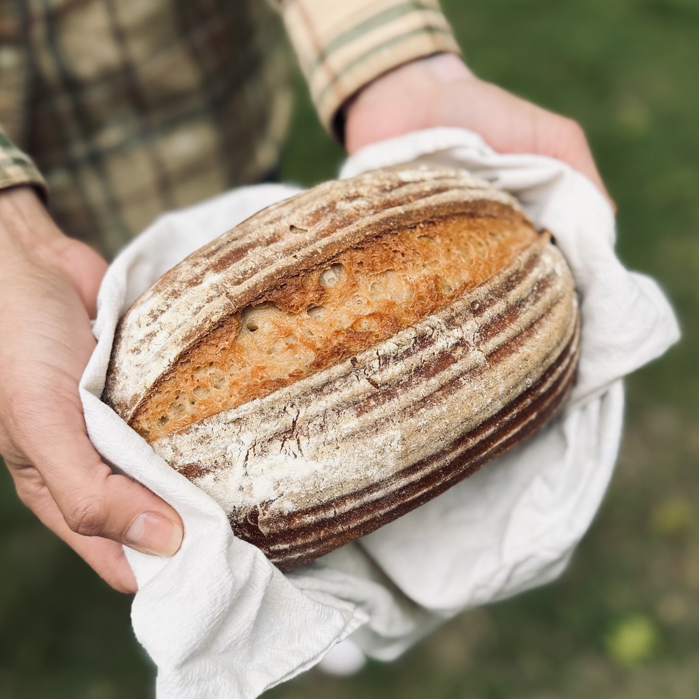 Gluten-free sourdough crumb
