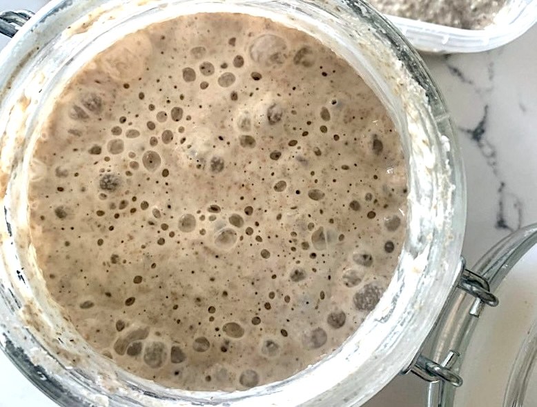 Our wild gluten-free sourdough starter
