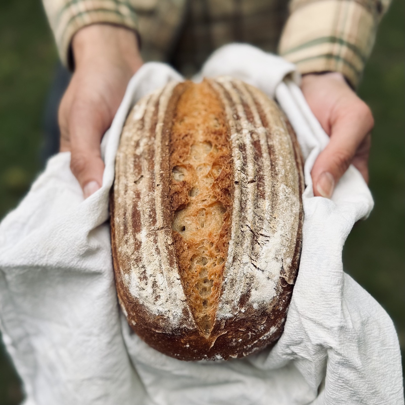 A gluten-free sourdough loaf with a golden crust