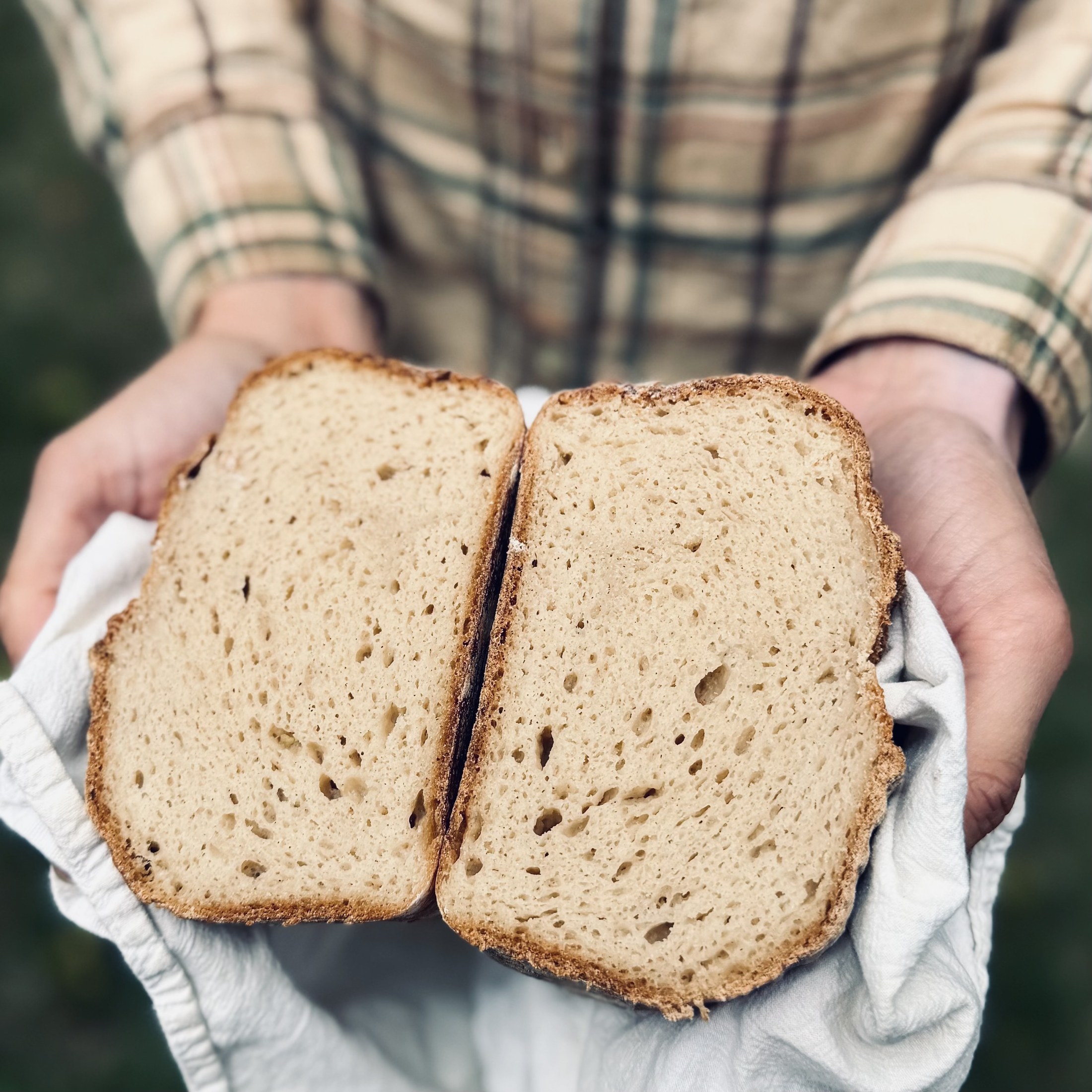 A gluten-friendly sourdough loaf held in two hands