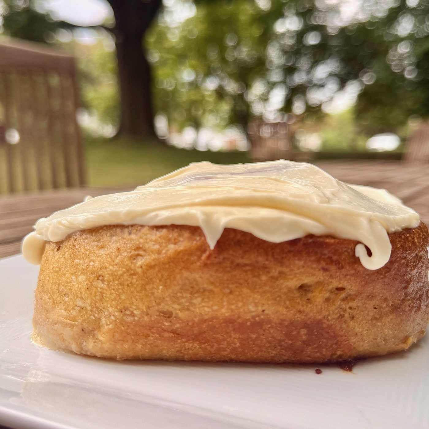 A pumpkin cinnamon roll on a plate in the garden, golden crust under cream cheese frosting