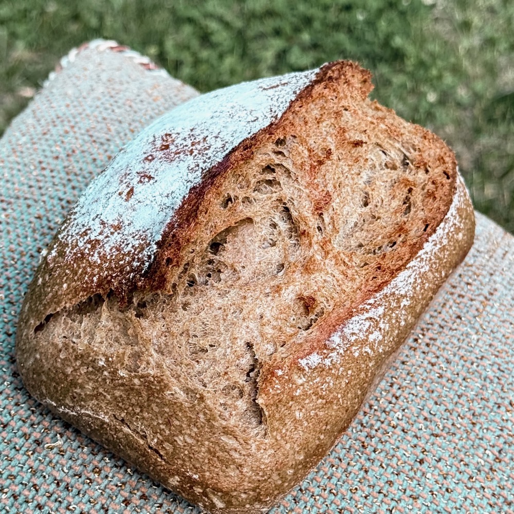 European Rye