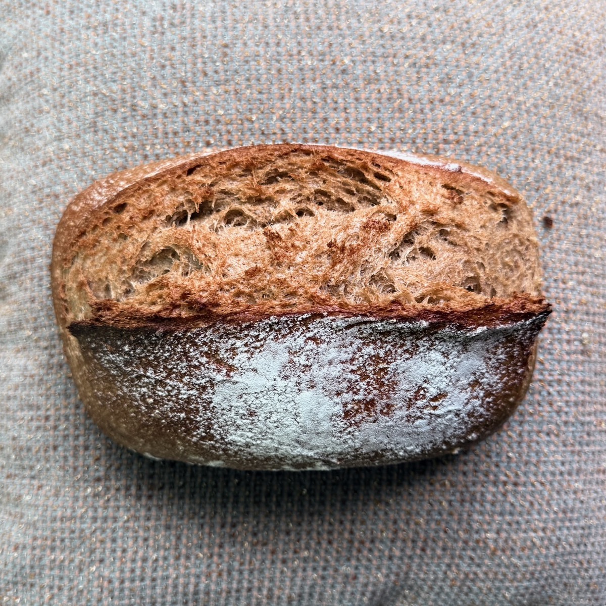 European Rye Sourdough boule, flour-dusted