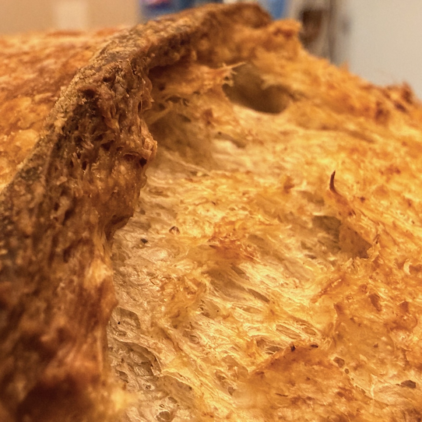 Whole wheat loaf held in two hands