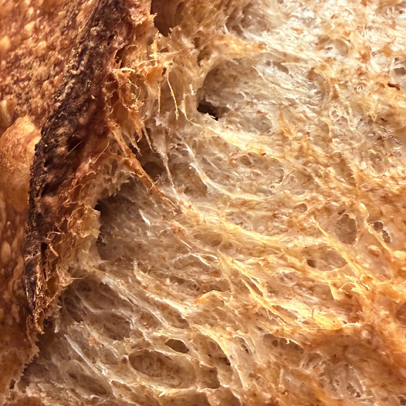 Close-up of the cracked whole wheat crust
