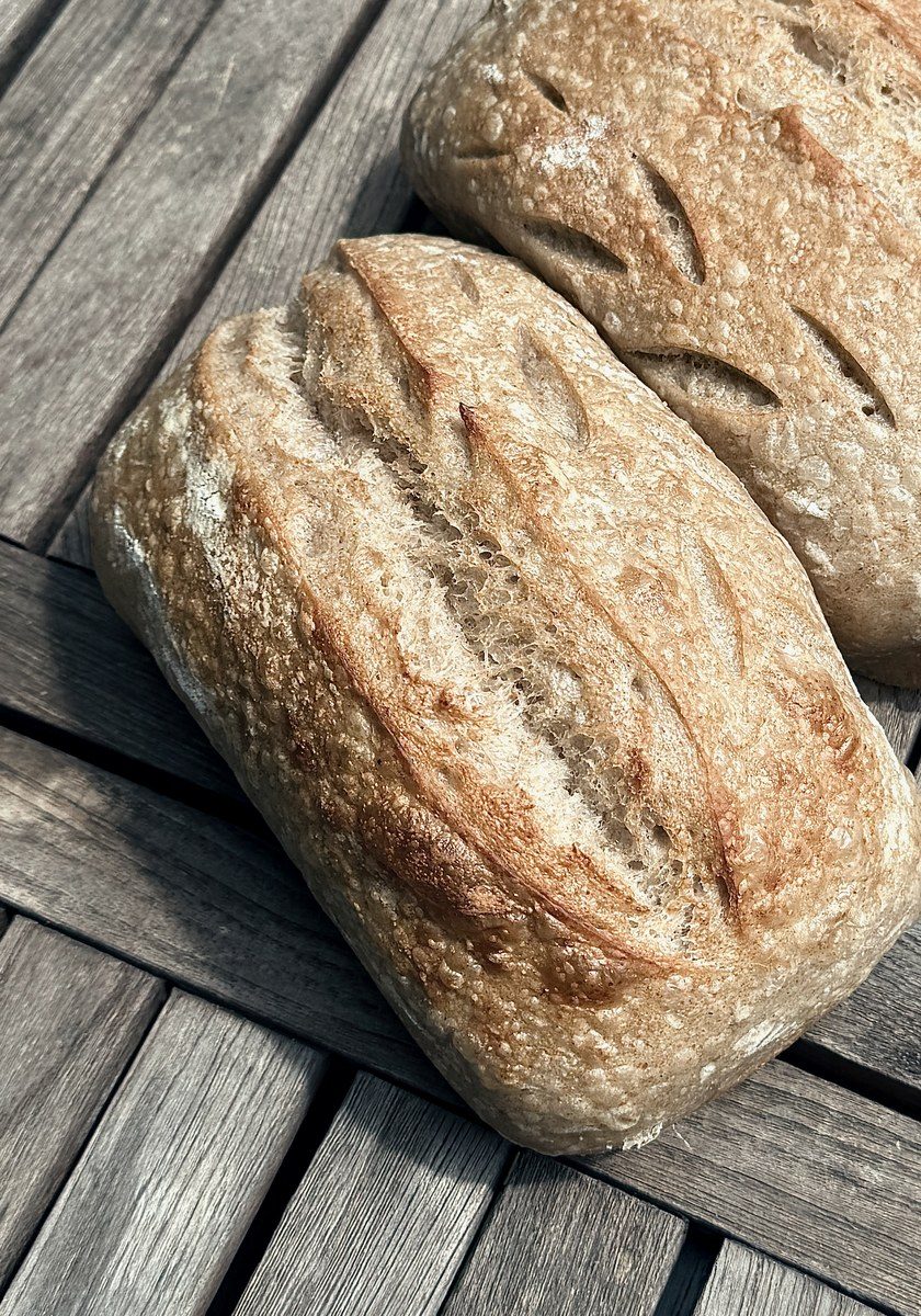 A whole wheat sourdough loaf