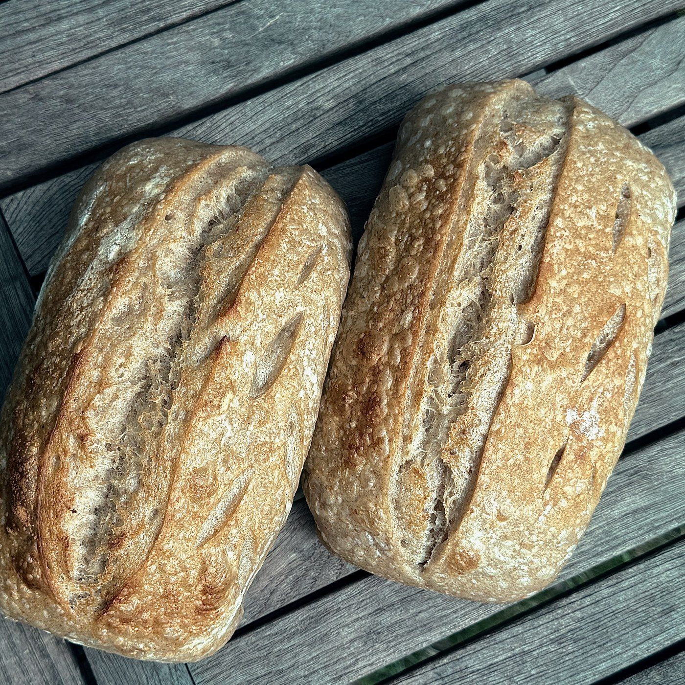 Two whole wheat sourdough loaves cooling on a wooden table
