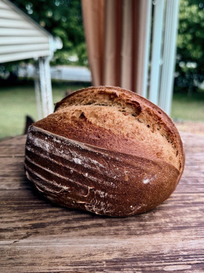 Whole Wheat sourdough loaf